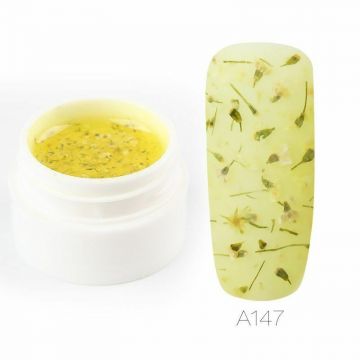 Fairy Gel Rosalind - A147 5ml