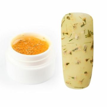 Fairy Gel Rosalind - A151 5ml