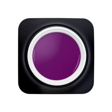 Gel Color 2M fara fixare Nr. 53