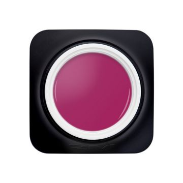Gel Color 2M Nr. 002