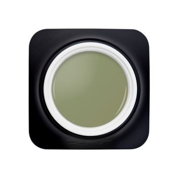 Gel Color 2M Nr. 010