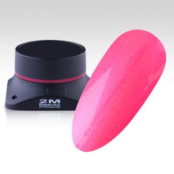 Gel Color 2M Nr.255