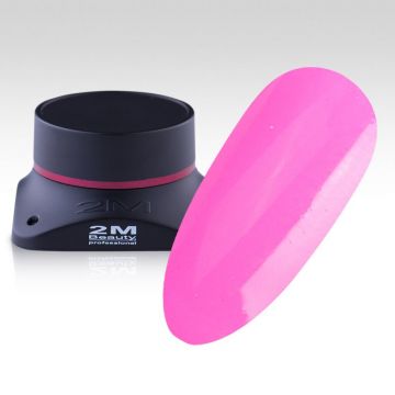 Gel Color 2M Nr.407