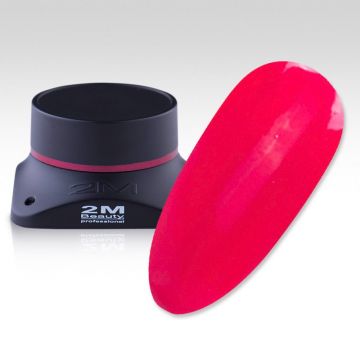 Gel Color 2M fara fixare Nr. 11