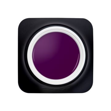 Gel Color 2M fara fixare Nr. 81