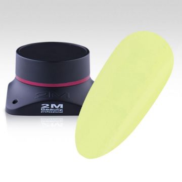 Gel Color 2M Nr.112