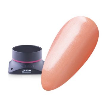 Gel Color 2M Nr.204