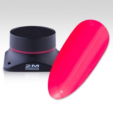 Gel Color 2M Nr.485