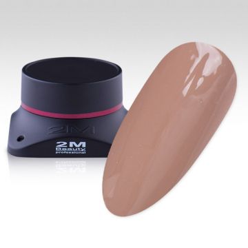 Gel Color 2M Nr.616