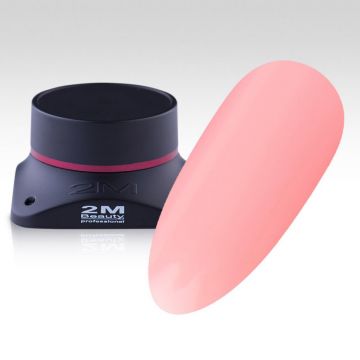 Gel Color 2M Nr.851