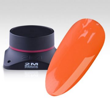 Gel Color 2M Nr.894