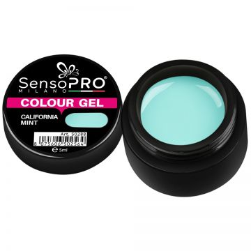 Gel UV Colorat California Mint 5ml, SensoPRO Milano