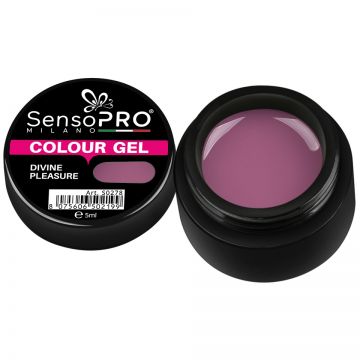 Gel UV Colorat Divine Pleasure 5ml, SensoPRO Milano