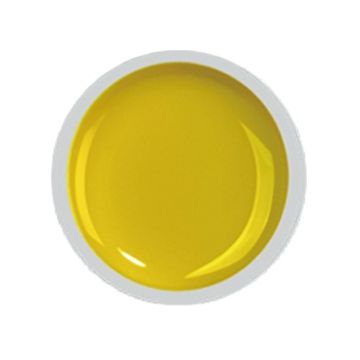 COVER COLOR GEL FSM 021 - CC-021 - Everin.ro