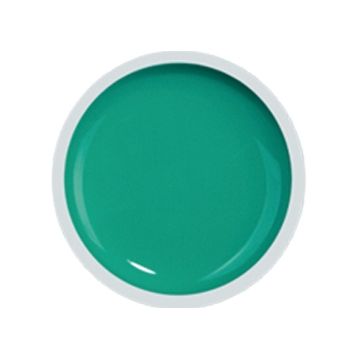 COVER COLOR GEL FSM 058 - CC-058 - Everin.ro