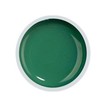 COVER COLOR GEL FSM 060 - CC-060 - Everin.ro