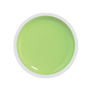 COVER COLOR GEL FSM 065 - CC-065 - Everin.ro