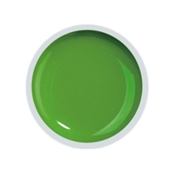 COVER COLOR GEL FSM 067 - CC-067 - Everin.ro