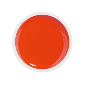 COVER COLOR GEL FSM 070 - CC-070 - Everin.ro